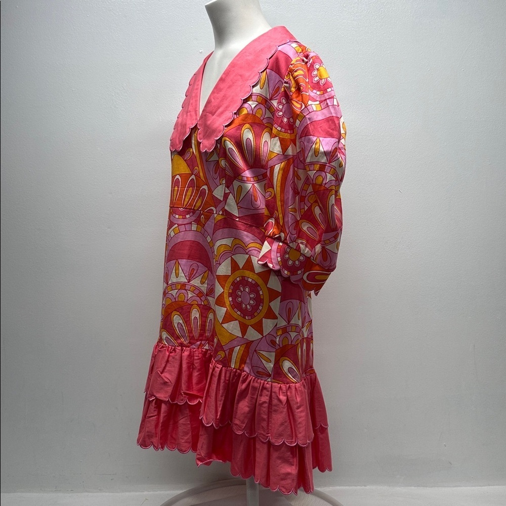Alden Adair Piper Dress Groovy Baby Scalloped Collar Retro Paisley Pink Medium - Picture 7 of 11